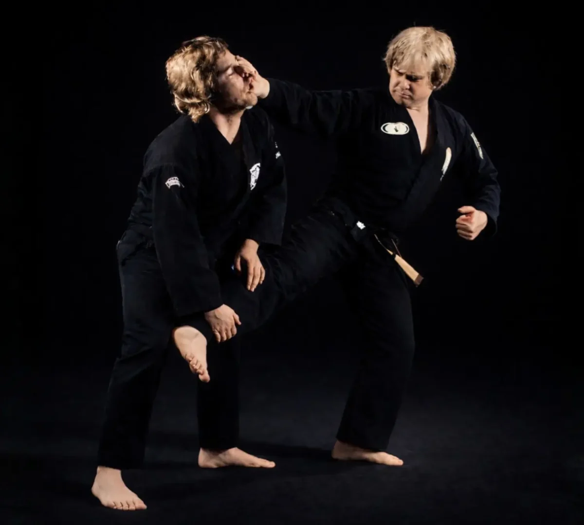 Kenpo-tradicional-defesa-pessoal